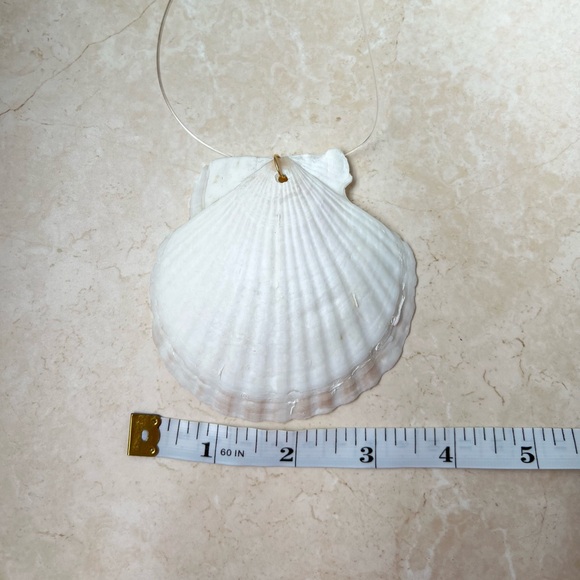 Seashell necklace - Picture 2 of 3